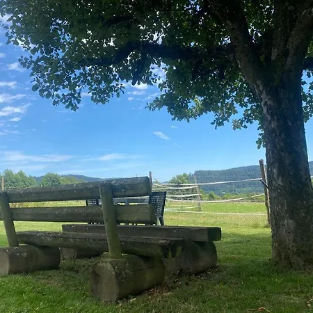 Appartement Minalya *